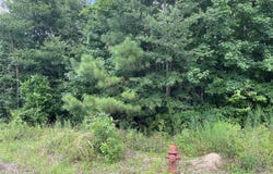 0 Edward Adams Road, Coushatta, LA 71019