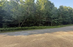 Lot 285 Acacia Drive, Mancelona, MI 49659