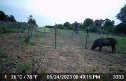 11653 FM 1226 Parcel C, Hawley, TX 79525