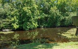 1677 Clearview Drive, Manning, SC 29102