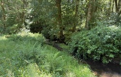 82467 CROWDER Rd, Seaside, OR 97138