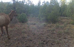 Tierra Bonita S/D, Tierra Amarilla, NM 87575