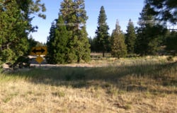 2319 HWY 97, Weed, CA 96094-9526
