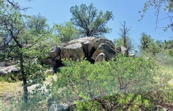 1753 Conifer Ridge Lane, Prescott, AZ 86303