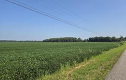 Henderson, KY 42420