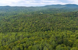 Pratt Bridge Road, Jamaica, VT 05143