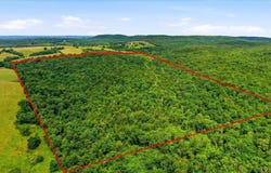 406 Horner Drive, Bradleyville, MO 65614
