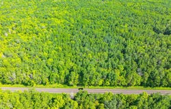 20 Ac On LAKE RD, Ironwood, MI 49938