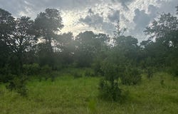 8616 Schuster Road, Round Top, TX 78954