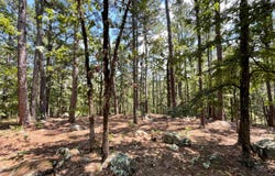 175-N Sherman Road, Moyers, OK 74557