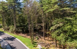 Lot 123 Rippling Waters Trail, Glenville, NC 28736