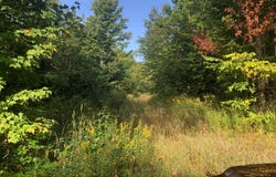 Off JACK SPUR RD, Ontonagon, MI 49953