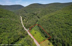 Tbd Route 42, Lexington, NY 12452