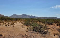 Lot 286 N Calle Del Prado --, Douglas, AZ 85607