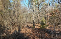 180th Ave, Talihina, OK 74571