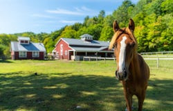 1245 Houghtonville Road, Grafton, VT 05146