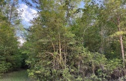 01 Old Bragg Road, Kountze, TX 77625