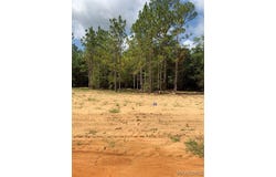 Deer Loop lot: 11, Camden, AL 36726