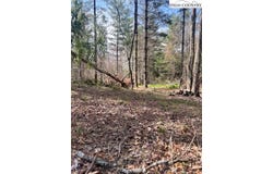 101 Pleasant Home Road, Sparta, NC 28675