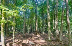 Neiltown Road, Pleasantville, PA 16341