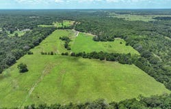 1956 VZ County Road 4511, Ben Wheeler, TX 75754