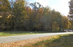 21 Harlan Drive, Watervliet, MI 49098