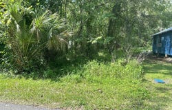 222 W HOLTZ Street, Hastings, FL 32145