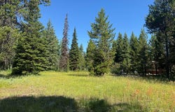 12980 Ponderosa Drive, Donnelly, ID 83615