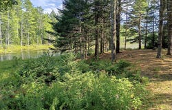 495 Dahlia Farm Road, Monroe, ME 04951