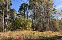 163 Deer Run Rd lot: 52,53,54, Roanoke Rapids, NC 27870