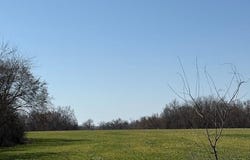 125th Rd lot: D, Sweet Springs, MO 65351