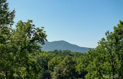 123 Thurland Avenue, Asheville, NC 28803