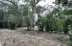 139 Anderson, San Antonio, TX 78203