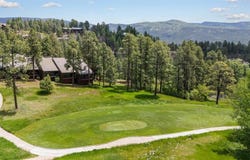 73 S Tamarron Drive, Durango, CO 81301
