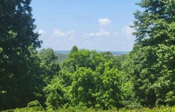 000-0008-000 HWY 160, Gainesville, MO 65699