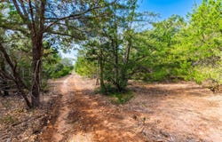 12 Acres Mt. Pleasant, Cedar Creek, TX 78612