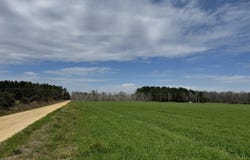010 Bar M Farm, Andalusia, AL 36421