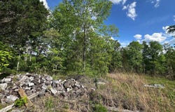 410 Hogg Hill, Lobelville, TN 37097