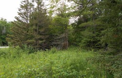TBD US-2, Gould City, MI 49838