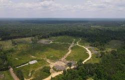 - Pettey Road, Forest, MS 39074