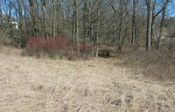 13778 Shannon Drive, Cement City, MI 49233