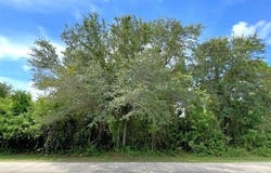 230 SW Becker Road, Port Saint Lucie, FL 34953