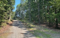 0 Bear Mountain Road, Ranger, GA 30734