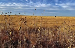 TBD County Road W, Eads, CO 81036