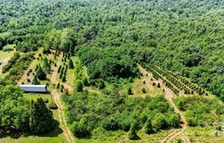 6024 White Store Pageland Road, Marshville, NC 28103