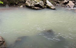 3702 NC 8440, Parthenon, AR 72666