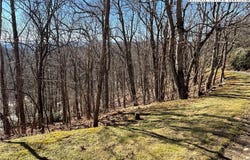 State View Road, Boone, NC 28607