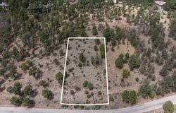 Stable Road, Alto, NM 88312
