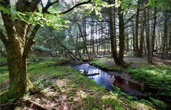 650 Hurd Road, Bethel, NY 12783