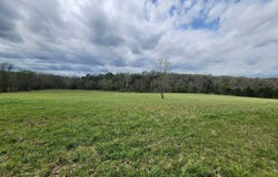 County Road 250, Drury, MO 65638